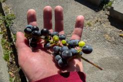 Sisian - Prodloužený víkend po Arménii (říjen 2025)