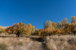 Sisian - Prodloužený víkend po Arménii (říjen 2025)