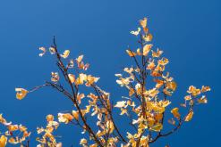 Sisian - Prodloužený víkend po Arménii (říjen 2025)