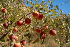 Sisian - Prodloužený víkend po Arménii (říjen 2025)