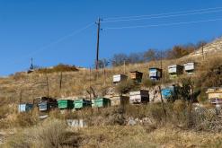 Shamb - Prodloužený víkend po Arménii (říjen 2025)