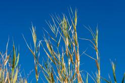 Shamb - Prodloužený víkend po Arménii (říjen 2025)