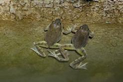 Shamb - Prodloužený víkend po Arménii (říjen 2025)