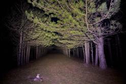 Shamb - Prodloužený víkend po Arménii (říjen 2025)