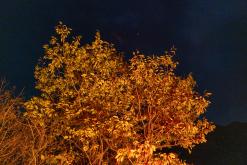 Tatev - Prodloužený víkend po Arménii (říjen 2025)