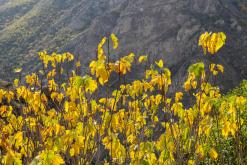 Tatev - Prodloužený víkend po Arménii (říjen 2025)