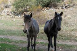 Tatev - Prodloužený víkend po Arménii (říjen 2025)