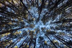 Tatev - Prodloužený víkend po Arménii (říjen 2025)