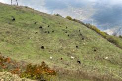 Tatev - Prodloužený víkend po Arménii (říjen 2025)