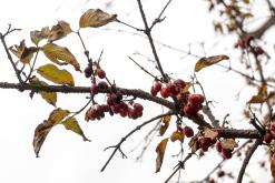 Tatev - Prodloužený víkend po Arménii (říjen 2025)