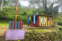 Deltota - Srí Lanka na týden (listopad 2025)