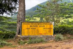 Deltota - Srí Lanka na týden (listopad 2025)