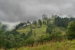 Deltota - Srí Lanka na týden (listopad 2025)