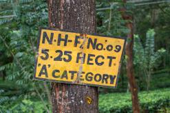 Deltota - Srí Lanka na týden (listopad 2025)