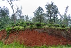 Deltota - Srí Lanka na týden (listopad 2025)