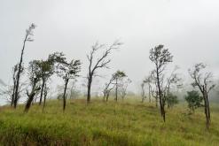 Deltota - Srí Lanka na týden (listopad 2025)