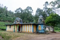 Deltota - Srí Lanka na týden (listopad 2025)