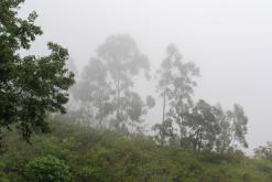 Deltota - Srí Lanka na týden (listopad 2025)