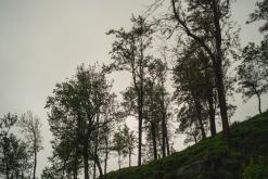 Deltota - Srí Lanka na týden (listopad 2025)