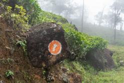 Deltota - Srí Lanka na týden (listopad 2025)