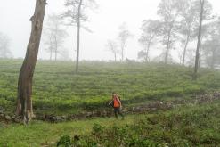 Deltota - Srí Lanka na týden (listopad 2025)