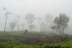 Deltota - Srí Lanka na týden (listopad 2025)