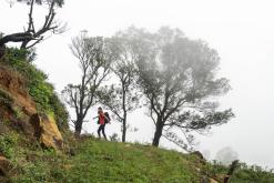 Deltota - Srí Lanka na týden (listopad 2025)