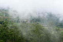 Deltota - Srí Lanka na týden (listopad 2025)