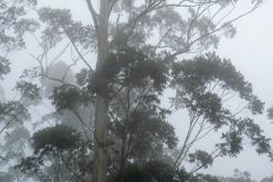 Deltota - Srí Lanka na týden (listopad 2025)