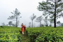 Deltota - Srí Lanka na týden (listopad 2025)