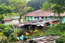 Deltota - Srí Lanka na týden (listopad 2025)