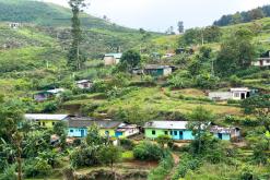 Deltota - Srí Lanka na týden (listopad 2025)