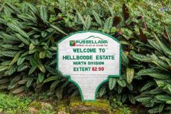 Deltota - Srí Lanka na týden (listopad 2025)