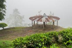 Deltota - Srí Lanka na týden (listopad 2025)