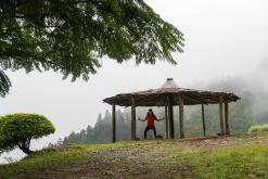 Deltota - Srí Lanka na týden (listopad 2025)