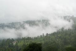 Kothmale - Srí Lanka na týden (listopad 2025)