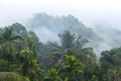 Kothmale - Srí Lanka na týden (listopad 2025)