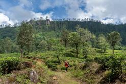 Kothmale - Srí Lanka na týden (listopad 2025)