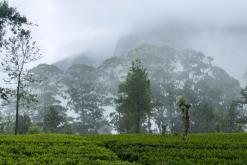 Kothmale - Srí Lanka na týden (listopad 2025)