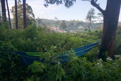 Talawakelle - Srí Lanka na týden (listopad 2025)