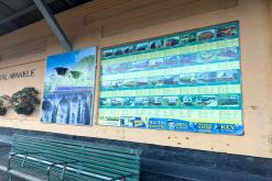 Talawakelle - Srí Lanka na týden (listopad 2025)