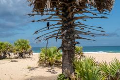 Valaichchenai - Srí Lanka na týden (listopad 2025)