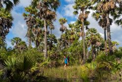 Valaichchenai - Srí Lanka na týden (listopad 2025)