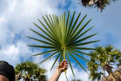 Valaichchenai - Srí Lanka na týden (listopad 2025)