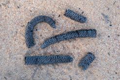 Valaichchenai - Srí Lanka na týden (listopad 2025)