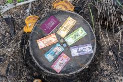 Valaichchenai - Srí Lanka na týden (listopad 2025)