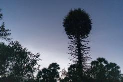 Valaichchenai - Srí Lanka na týden (listopad 2025)