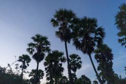 Valaichchenai - Srí Lanka na týden (listopad 2025)