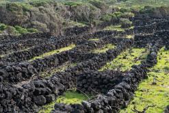 Pico (ostrov) - Týden po Azorech (únor 2026)