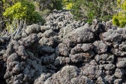 Pico (ostrov) - Týden po Azorech (únor 2026)